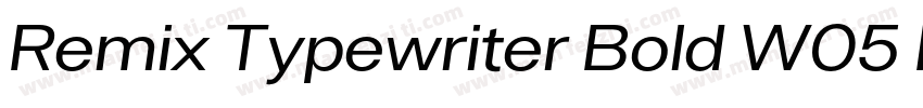 Remix Typewriter Bold W05 Rg字体转换